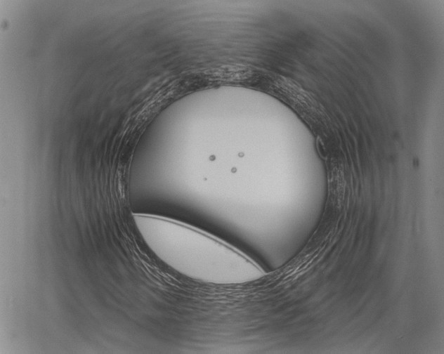 X0000065251058200602170924