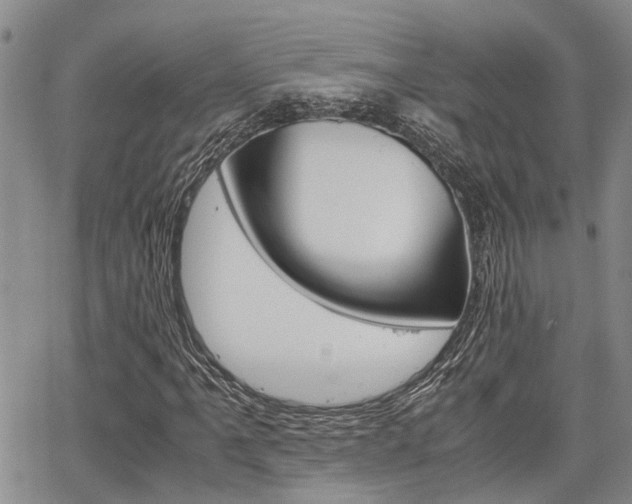 X0000065251061200602170924