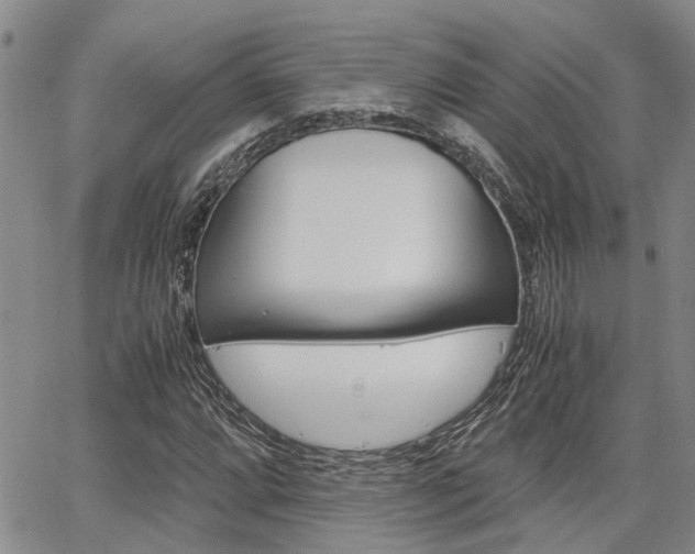 X0000065251064200602170924