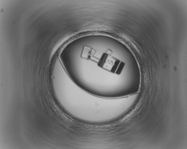 X0000065251069200602170924