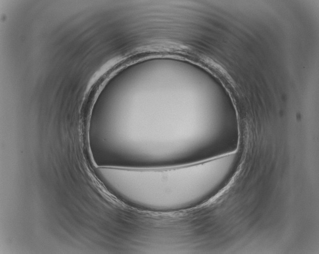 X0000065251114200602170922