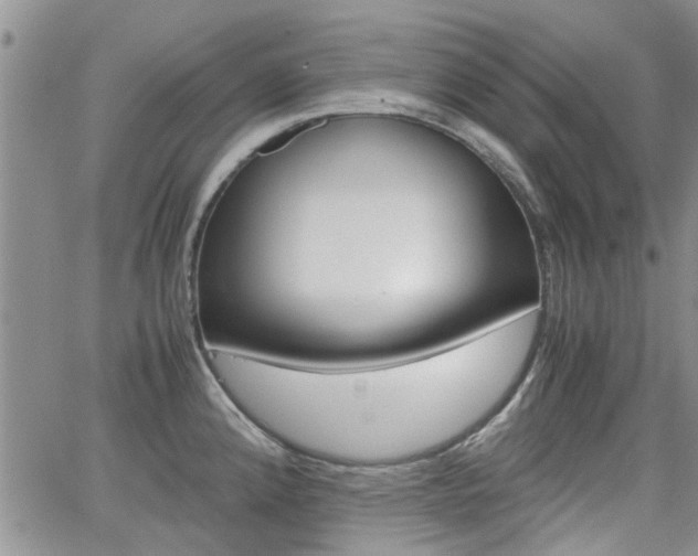 X0000065251192200602170922