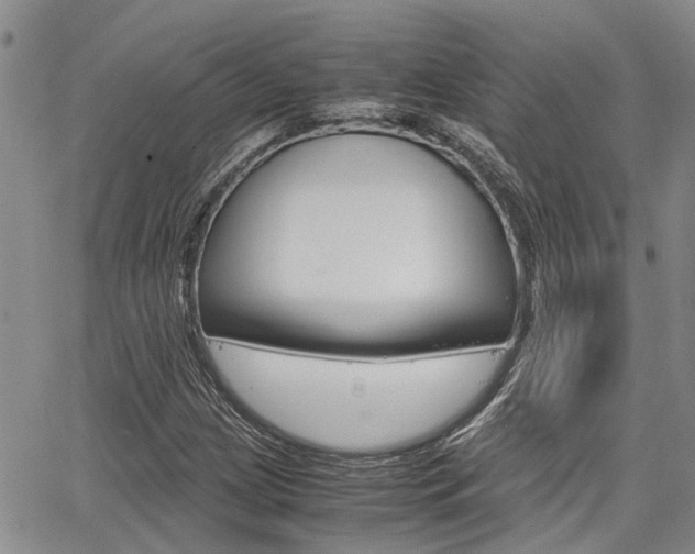 X0000065251209200602170921