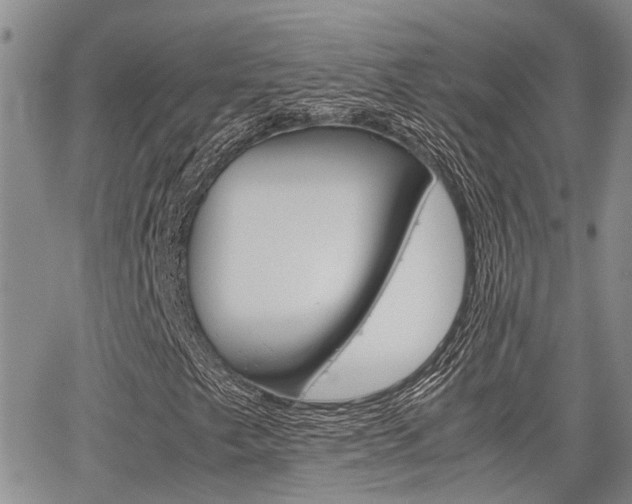 X0000065251249200602170921