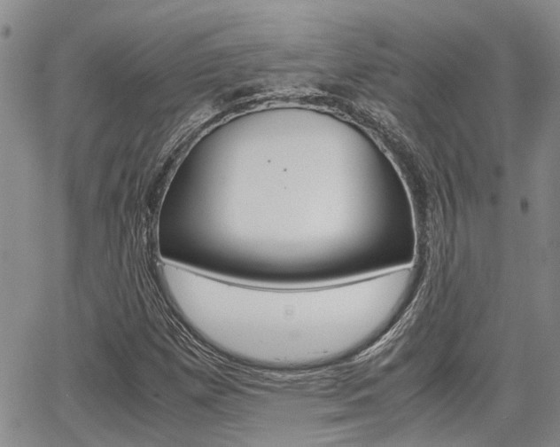 X0000065251257200602170921