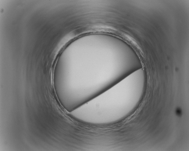 X0000065251275200602170920