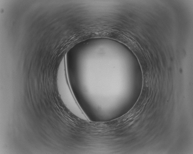 X0000065251298200602170919