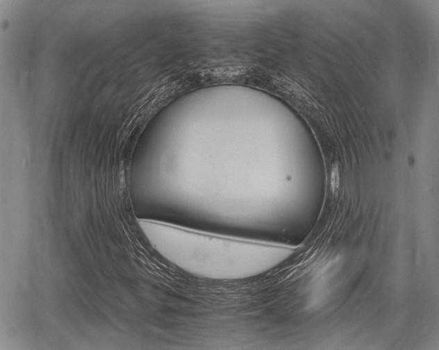 X0000065251299200602170919