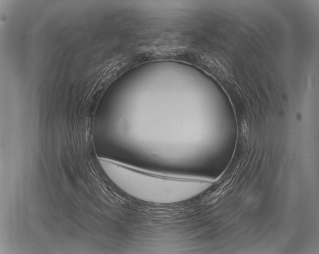 X0000065251300200602170919