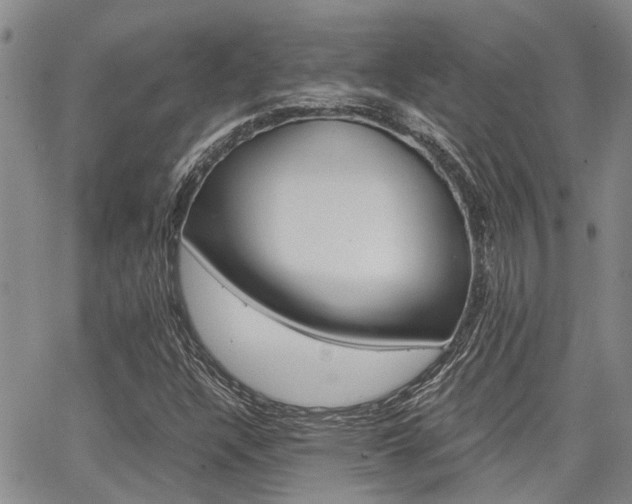 X0000065251304200602170919