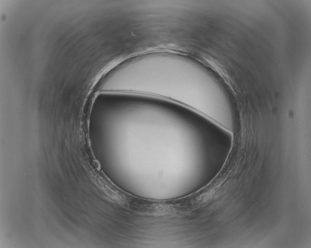 X0000065251308200602170919