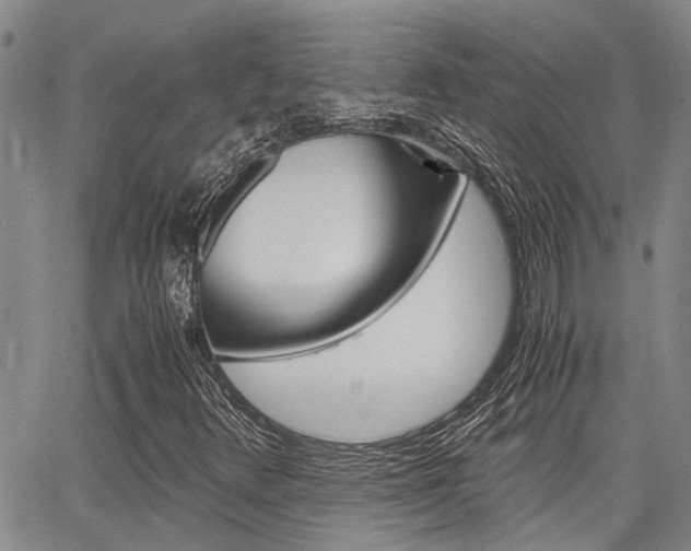 X0000065251348200602170919
