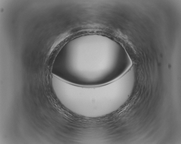 X0000065251352200602170919