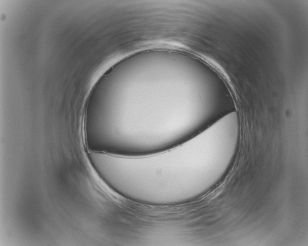 X0000065251391200602170918