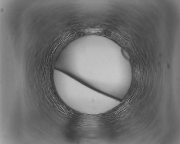 X0000065251393200602170918