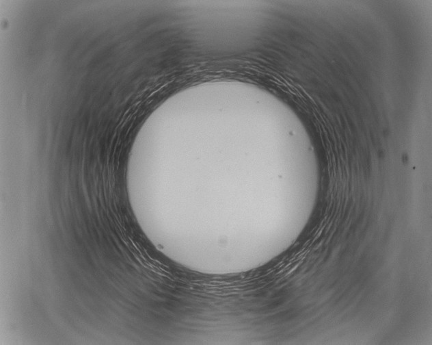 X0000065251394200602170918