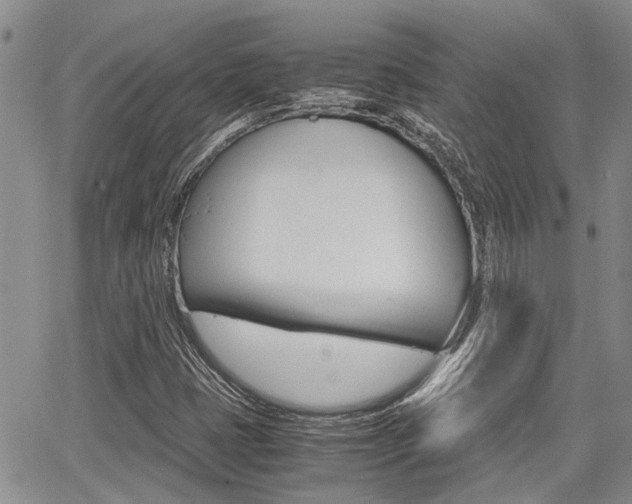 X0000065251401200602170918