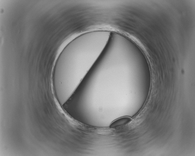 X0000065251440200602170918
