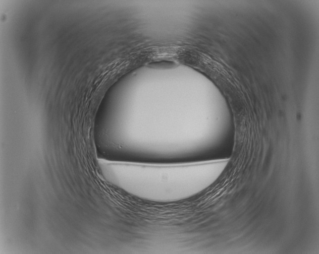 X0000065251441200602170918