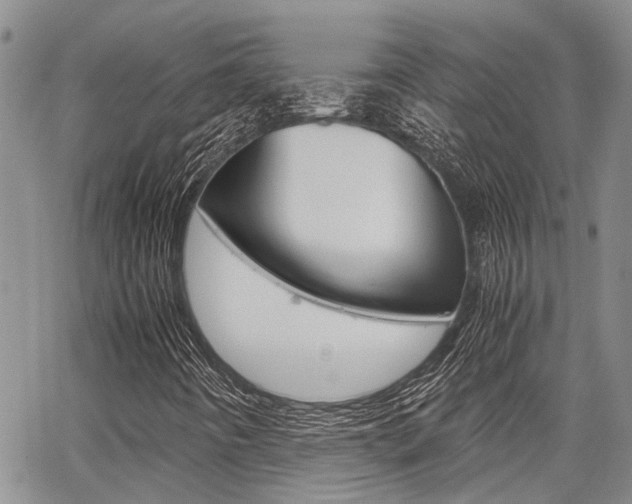 X0000065251442200602170918