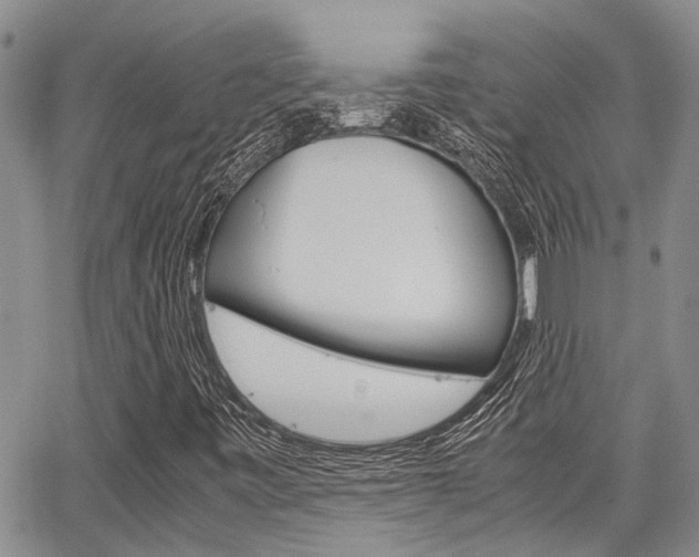 X0000065251443200602170918