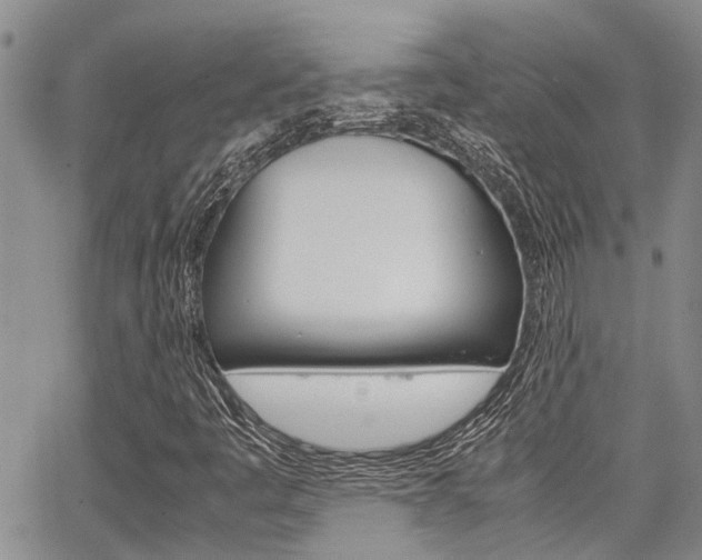 X0000065251445200602170918