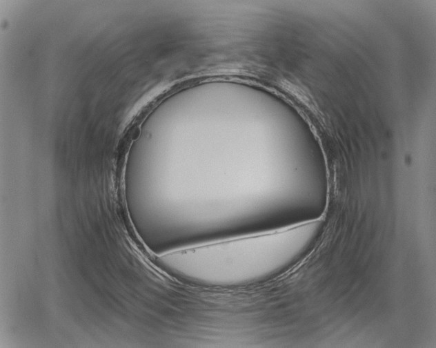 X0000065251452200602170917
