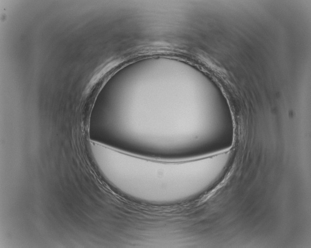 X0000065251453200602170917