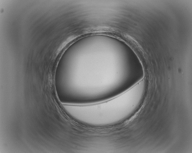X0000065251457200602170917
