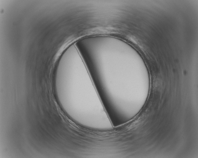 X0000065251459200602170917