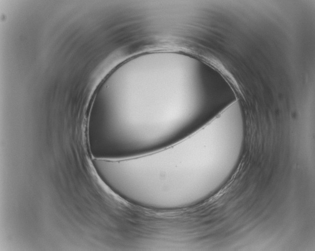 X0000065251484200602170917