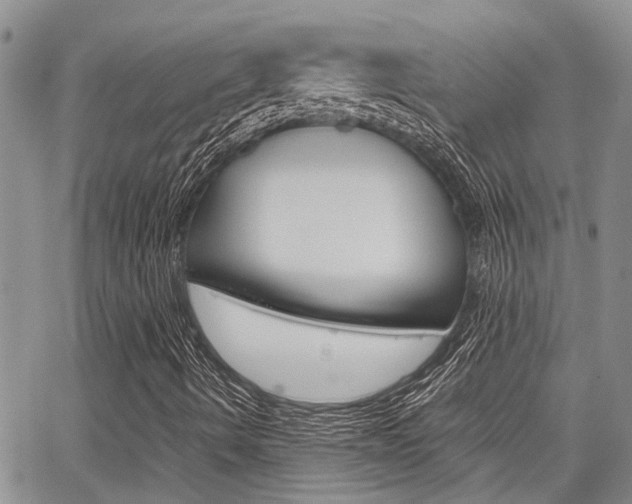X0000065251490200602170916