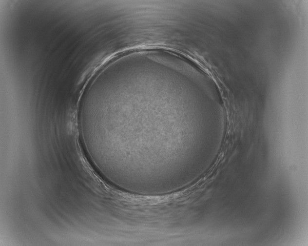 X0000065250002200602171440