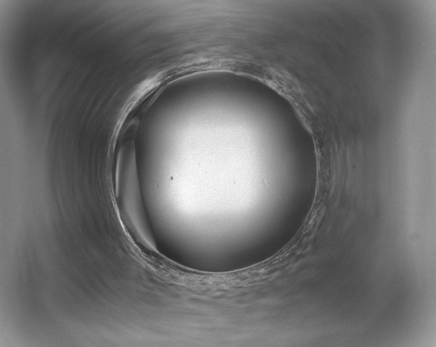 X0000065250003200602171440