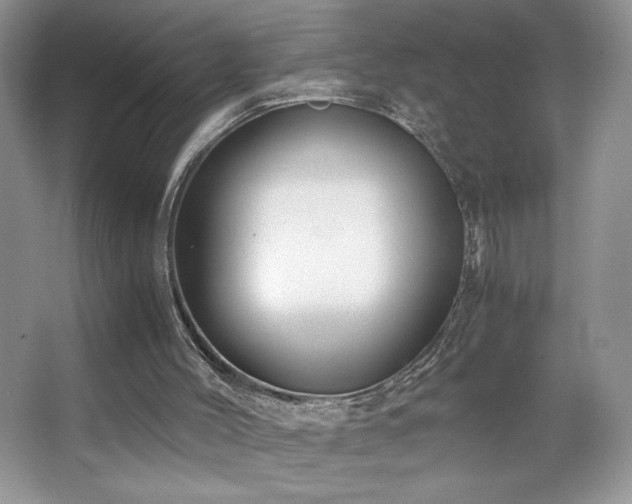 X0000065250004200602171440