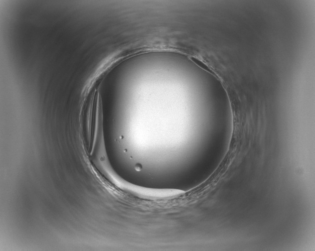 X0000065250005200602171440