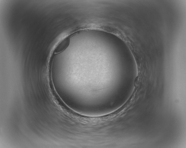 X0000065250006200602171440