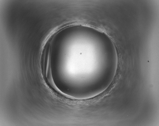 X0000065250007200602171440