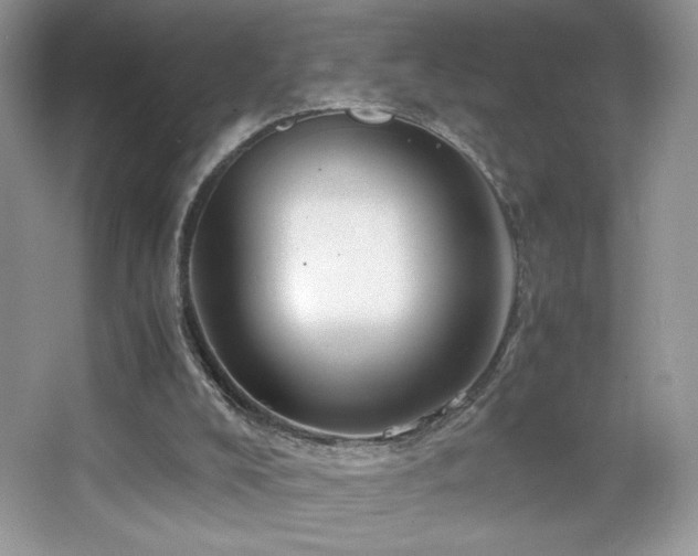 X0000065250008200602171440