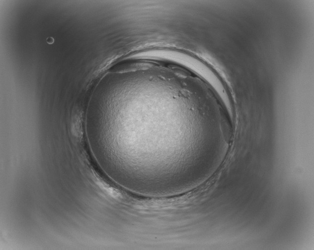 X0000065250009200602171440