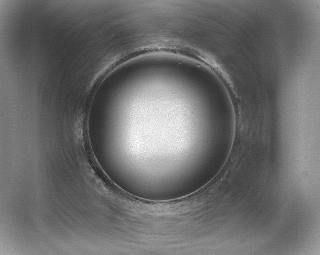 X0000065250010200602171440