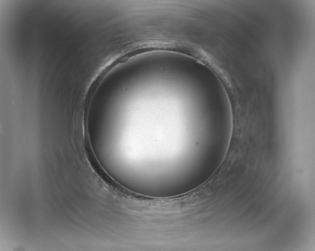 X0000065250011200602171440
