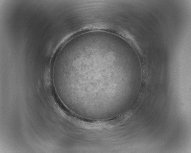 X0000065250012200602171440