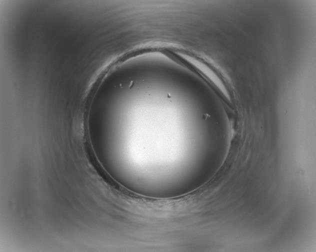 X0000065250015200602171440