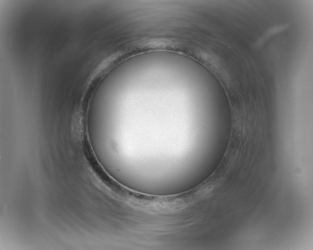 X0000065250016200602171440