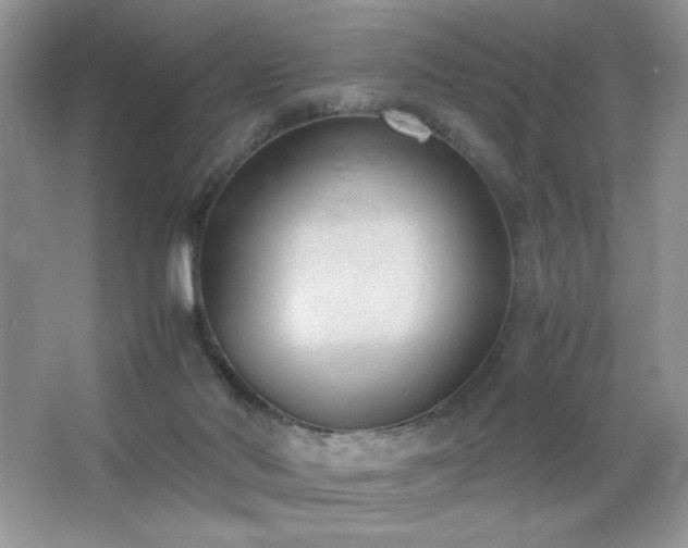 X0000065250022200602171440