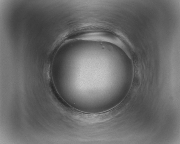 X0000065250023200602171440