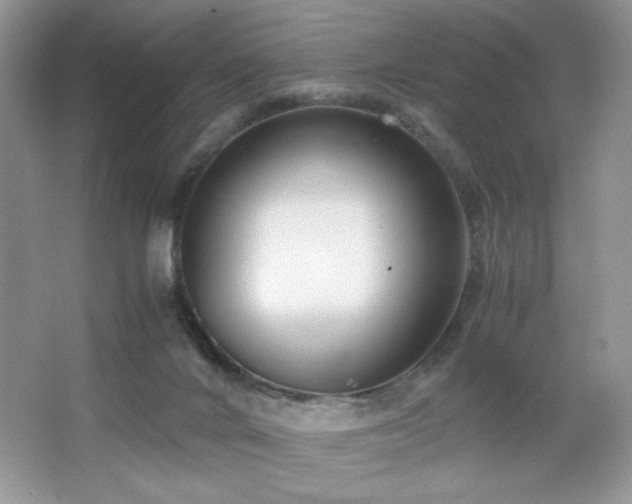 X0000065250024200602171440