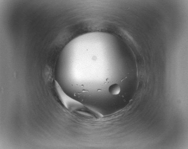 X0000065250025200602171440