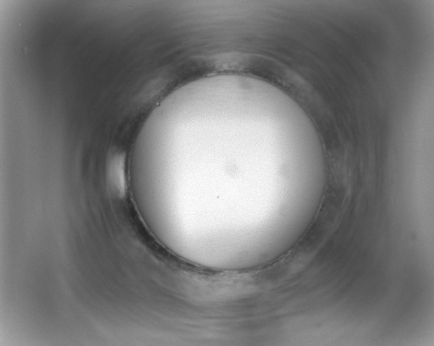 X0000065250028200602171440